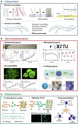 Polysaccharide-Based Hydrogels for Wound Dressing: <mark class="highlighted">Design Considerations</mark> and Clinical Applications